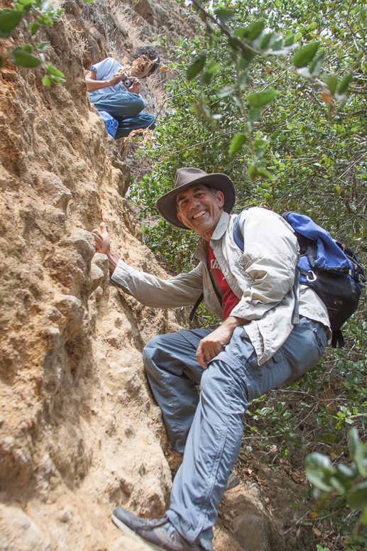 encyclopedia cave